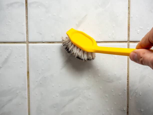 Best Bathroom Mold Remediation in De Kal, TX