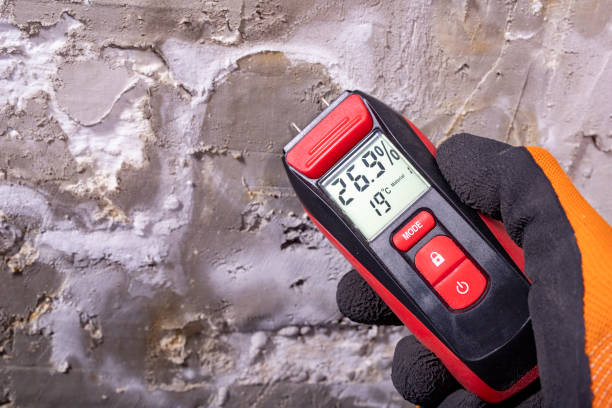 Best Attic Mold Remediation in De Kal, TX