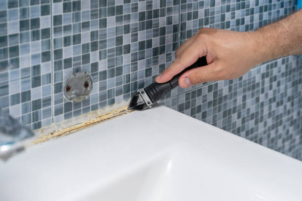 De Kal, TX Mold Remediation Company
