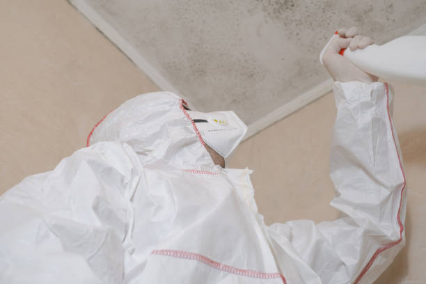 Best Mold Testing and Inspection Services in De Kal, TX
