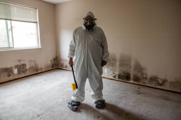 Best HVAC Mold Remediation in De Kal, TX